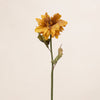Dried Look Dahlia Single (3 Stems for ₱995)