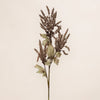 Astilbe Spray (3 Stems for ₱995)