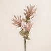 Astilbe Spray (3 Stems for ₱995)
