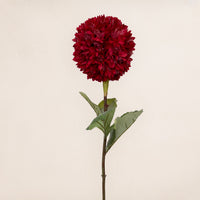 Pompom