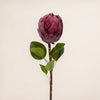 Protea Single (3 Stems for ₱995)