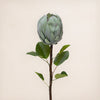Protea Single (3 Stems for ₱995)