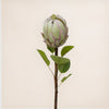 Protea Single (3 Stems for ₱995)