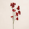 Millet Seed Fortune Fruit (3 Stems for ₱995)