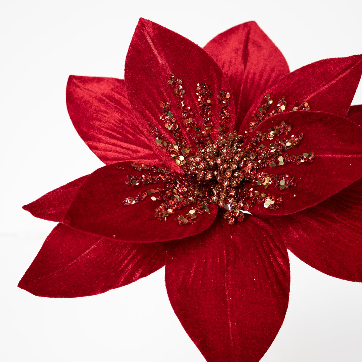 Velvet Magnolia with Sequins