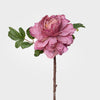 Dried Look Peony