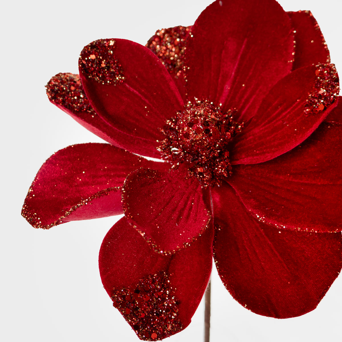 Velvet Magnolia Red