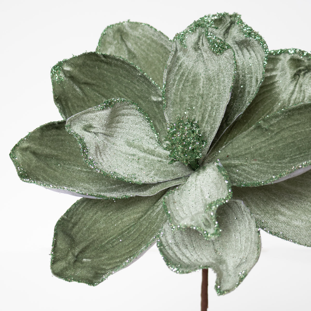 Velvet Magnolia Sage Green