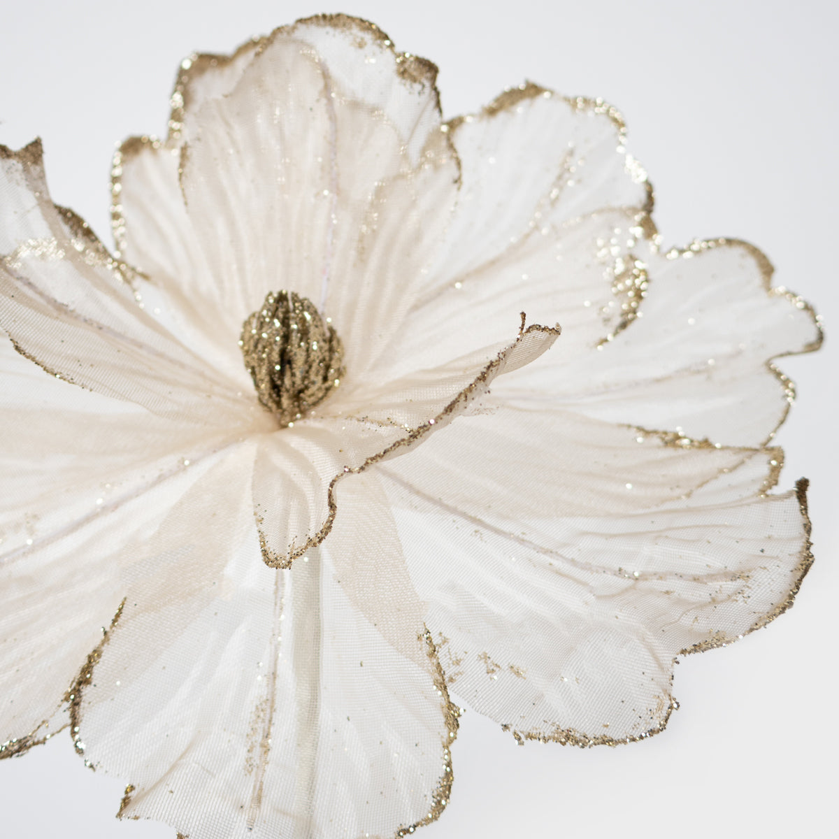 Tulle Magnolia Champagne