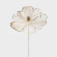 Tulle