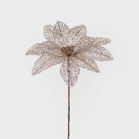 Tulle