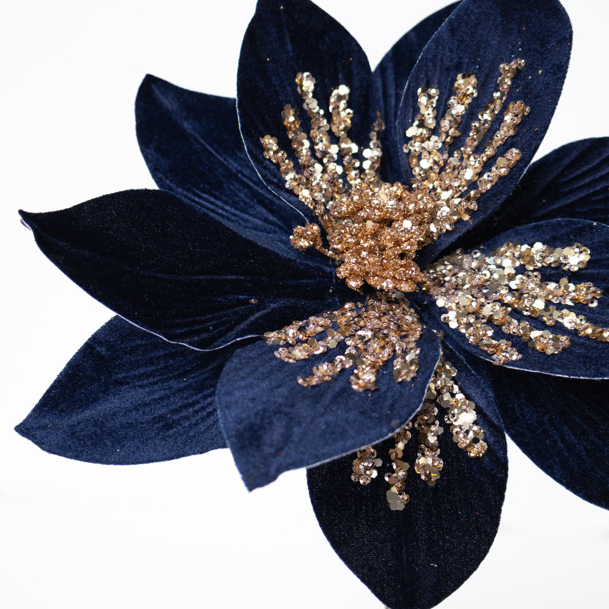 Velvet Magnolia with Sequins