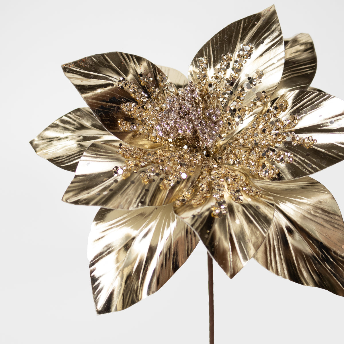 Shiny Poinsettia