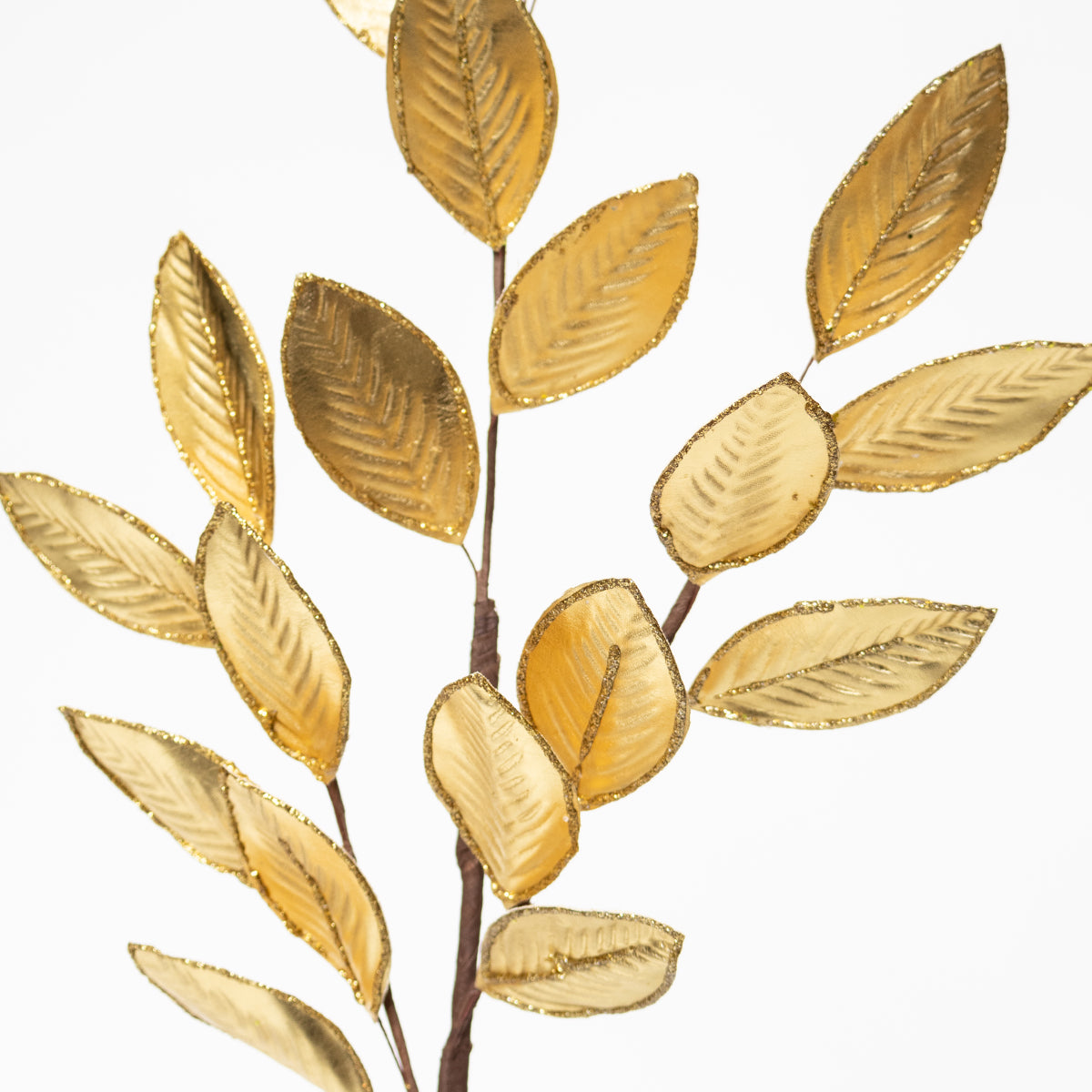 Shiny Leaves