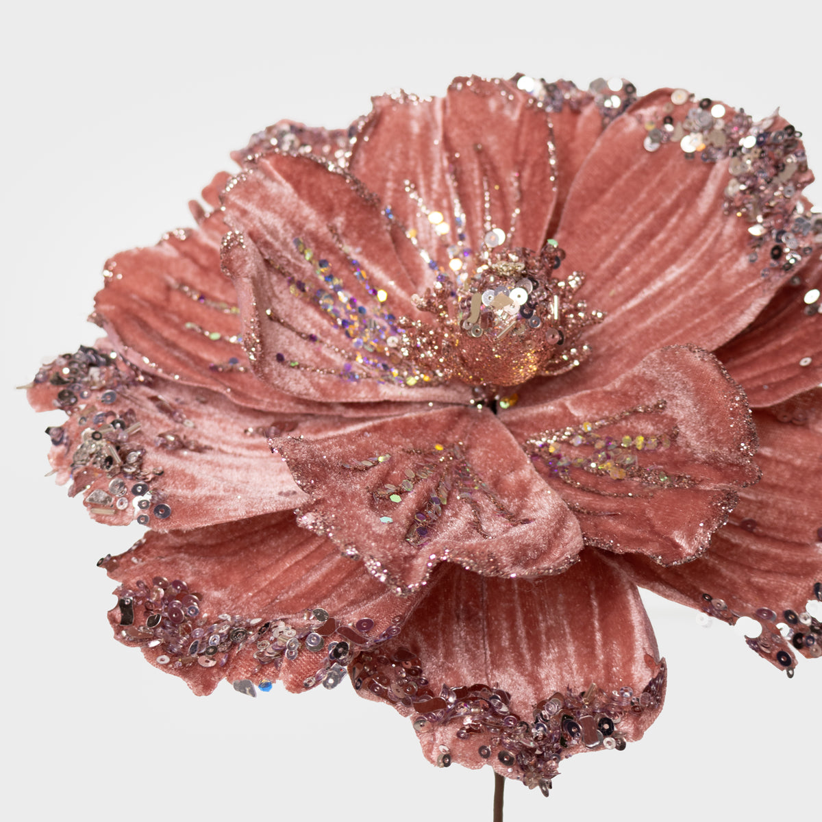 Velvet Magnolia w/ Sequins