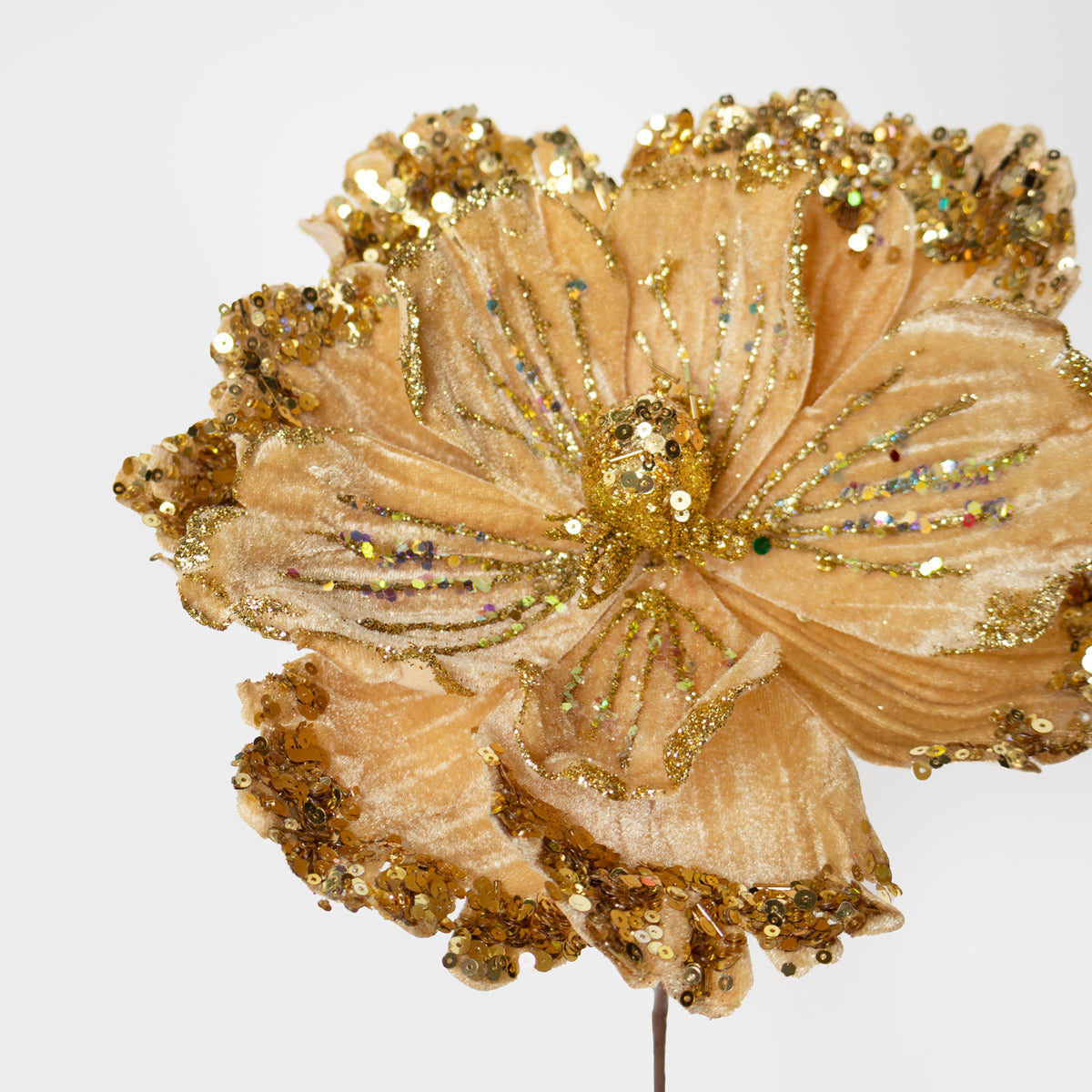 Velvet Magnolia w/ Sequins