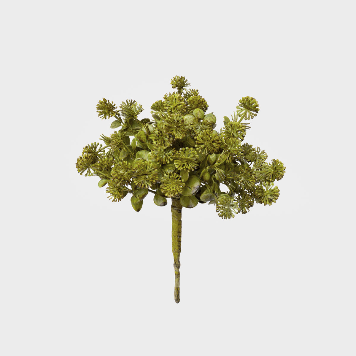 Leaves Bush