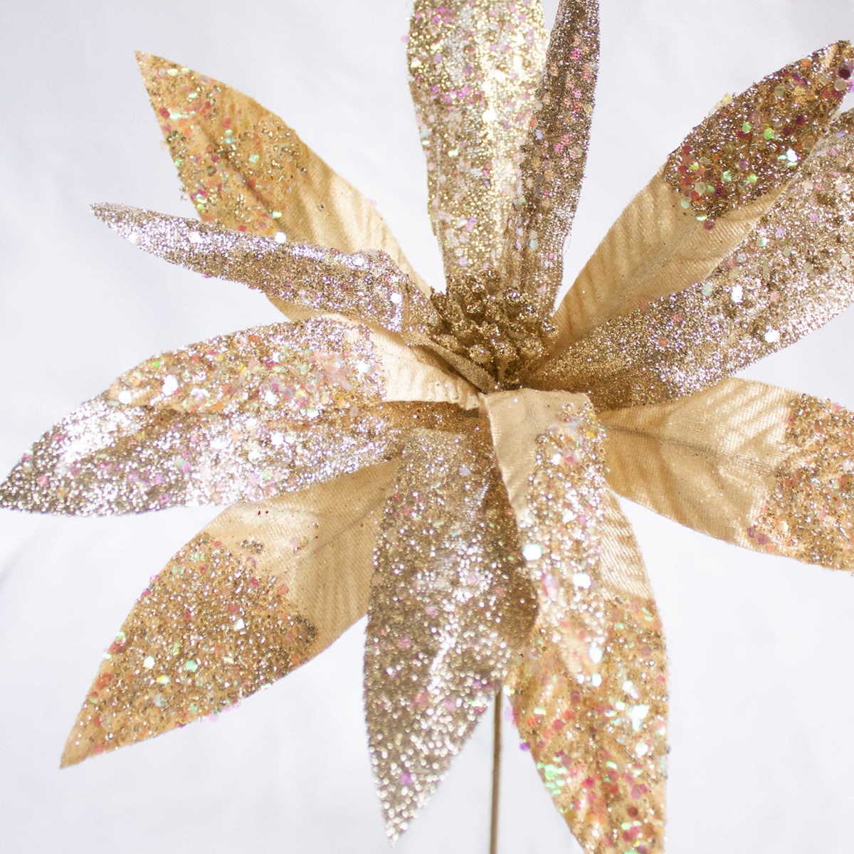 Glittered Poinsettia - Gold