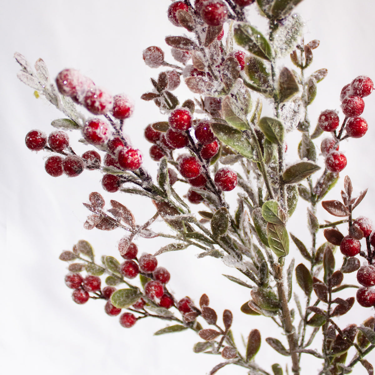 Pine Berry Spray