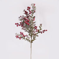 Pine