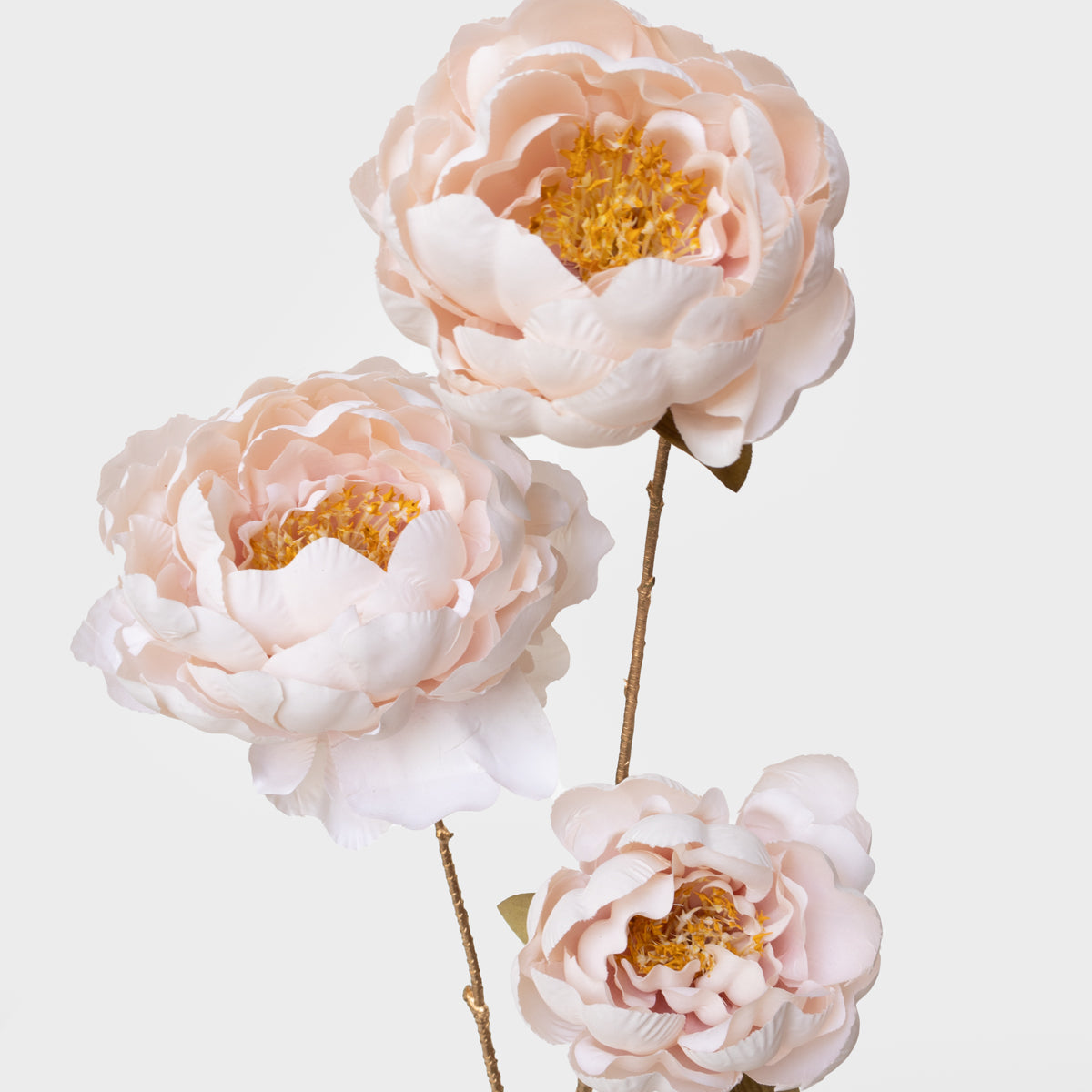 Peony Spray