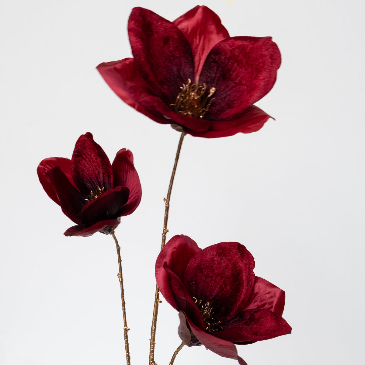 Magnolia Spray