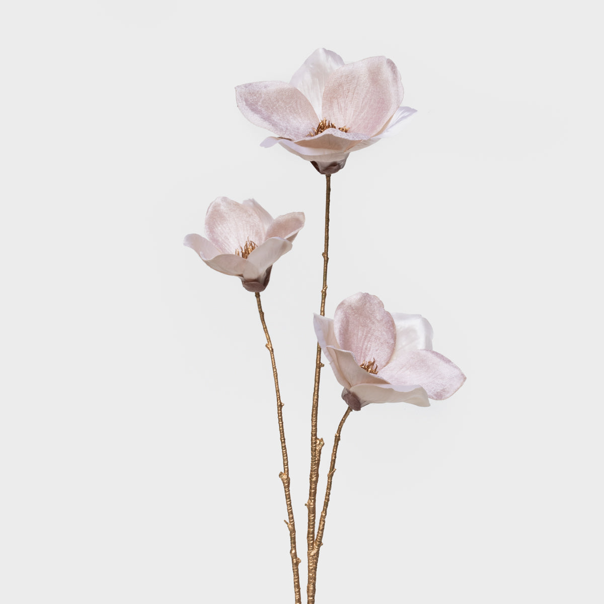 Magnolia Spray
