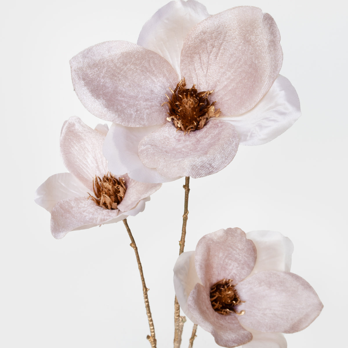 Magnolia Spray