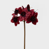 Mini Amaryllis Spray