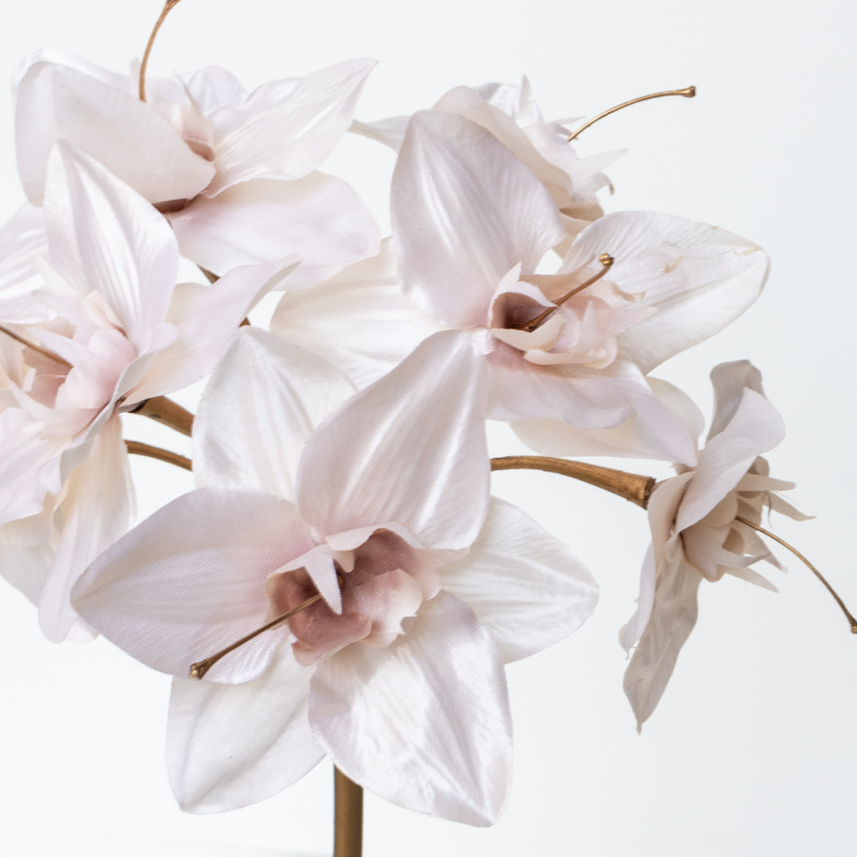 Mini Amaryllis Spray