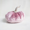 Velvet Pumpkin