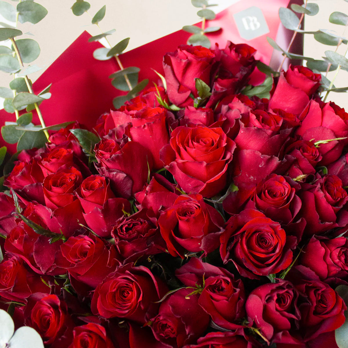 50 Stem Red Roses & Designer Blooms PH