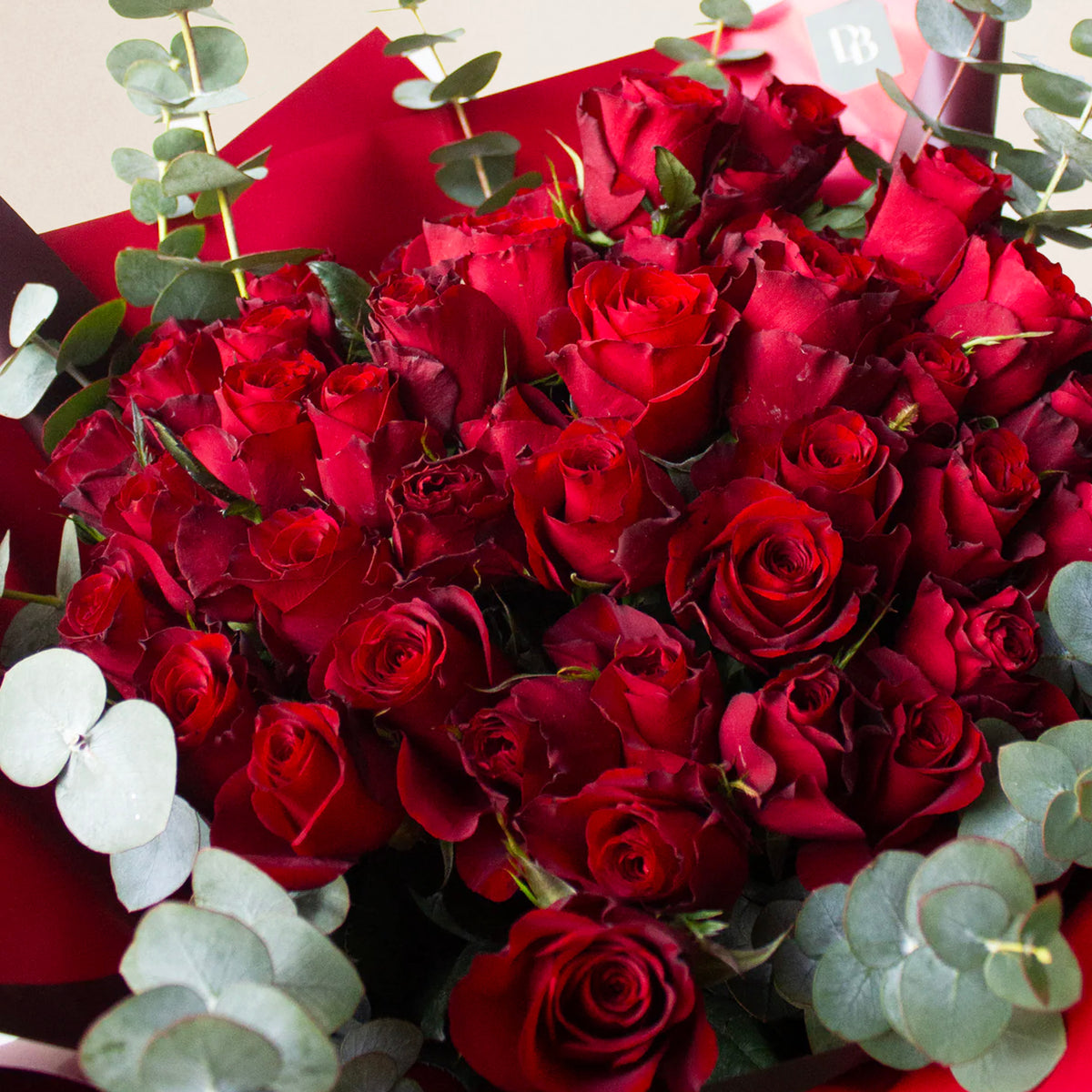 50 Stem Red Roses & Designer Blooms PH
