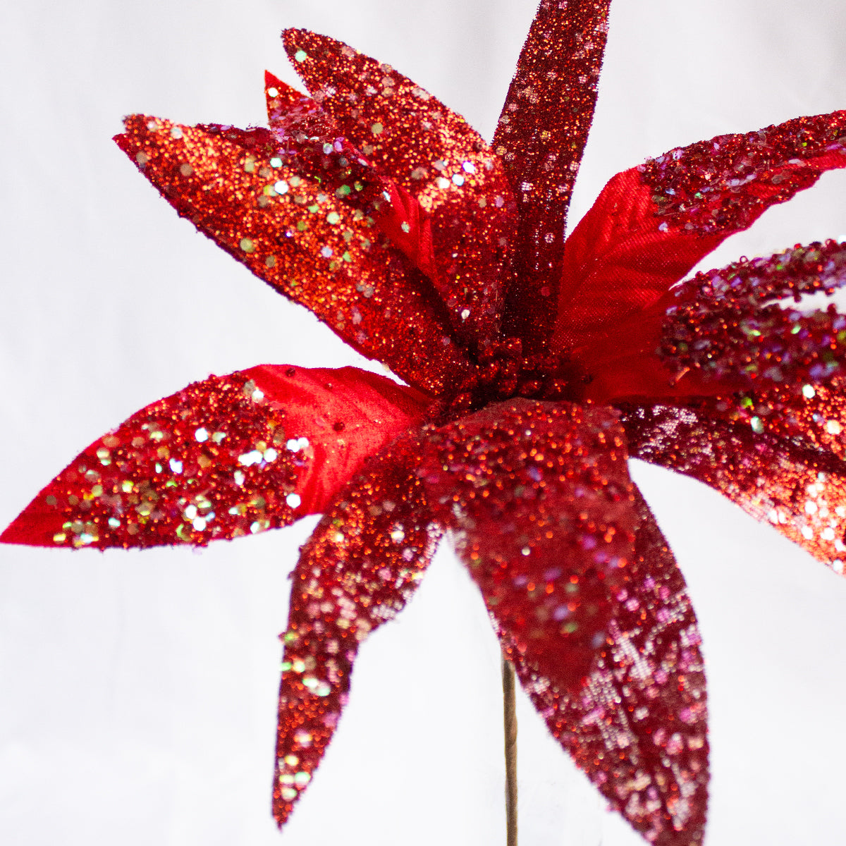 Glittered Poinsettia - Red