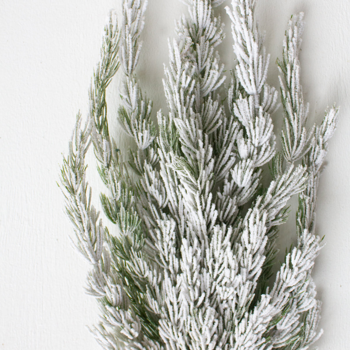 Frosted Pine Spray