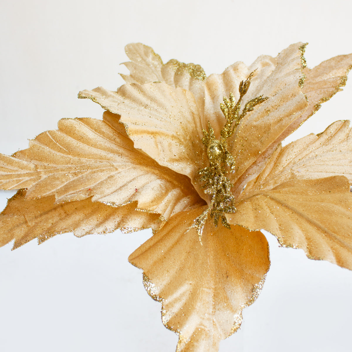 Glittered Poinsettia Gold 45cm