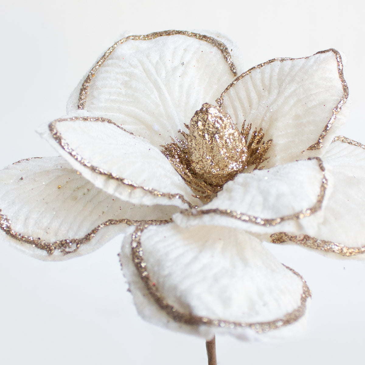 Glittered Magnolia White 20cm