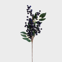 Berries