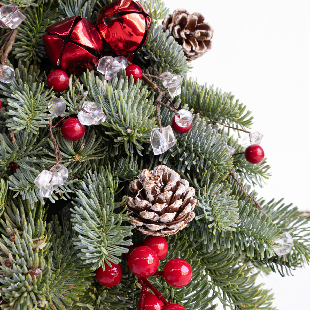 Fresh Pine Mini Tree - Red