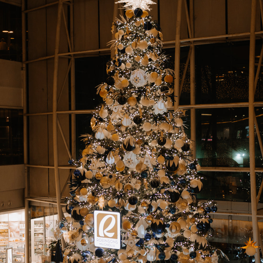 Robinsons Magnolia