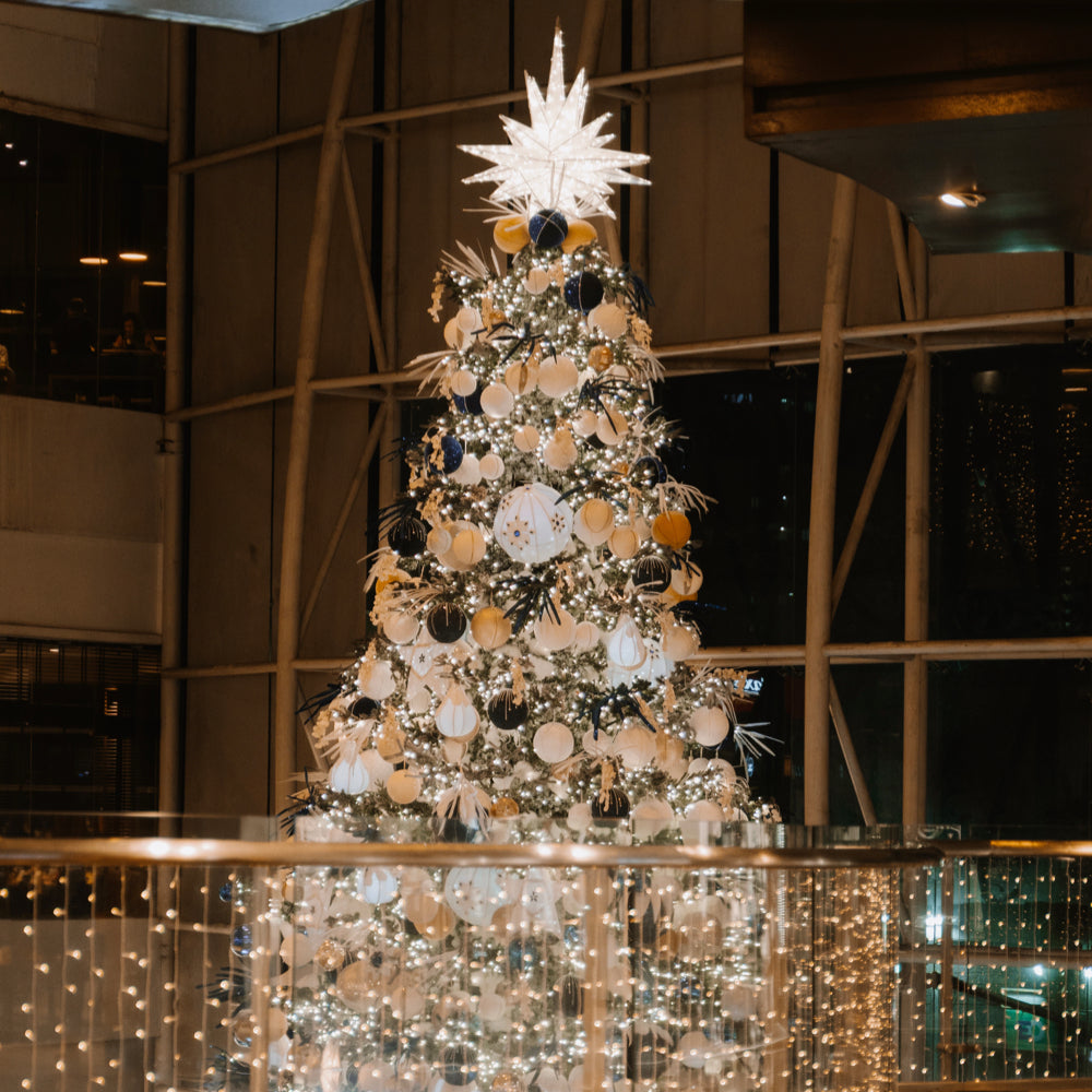 Robinsons Magnolia