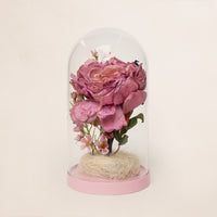 Peony