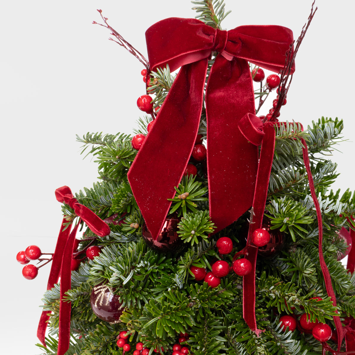 Red Reverie Real Pine Mini Tree