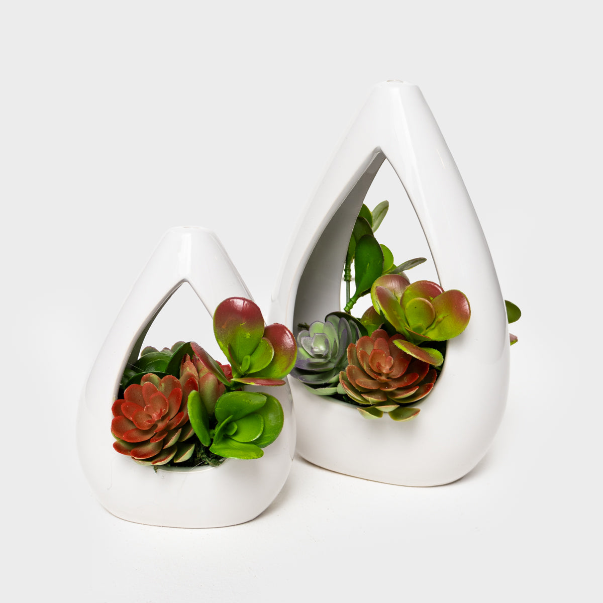 Succulent Teardrop