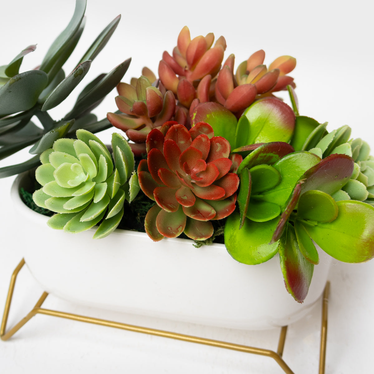 Succulent Planter