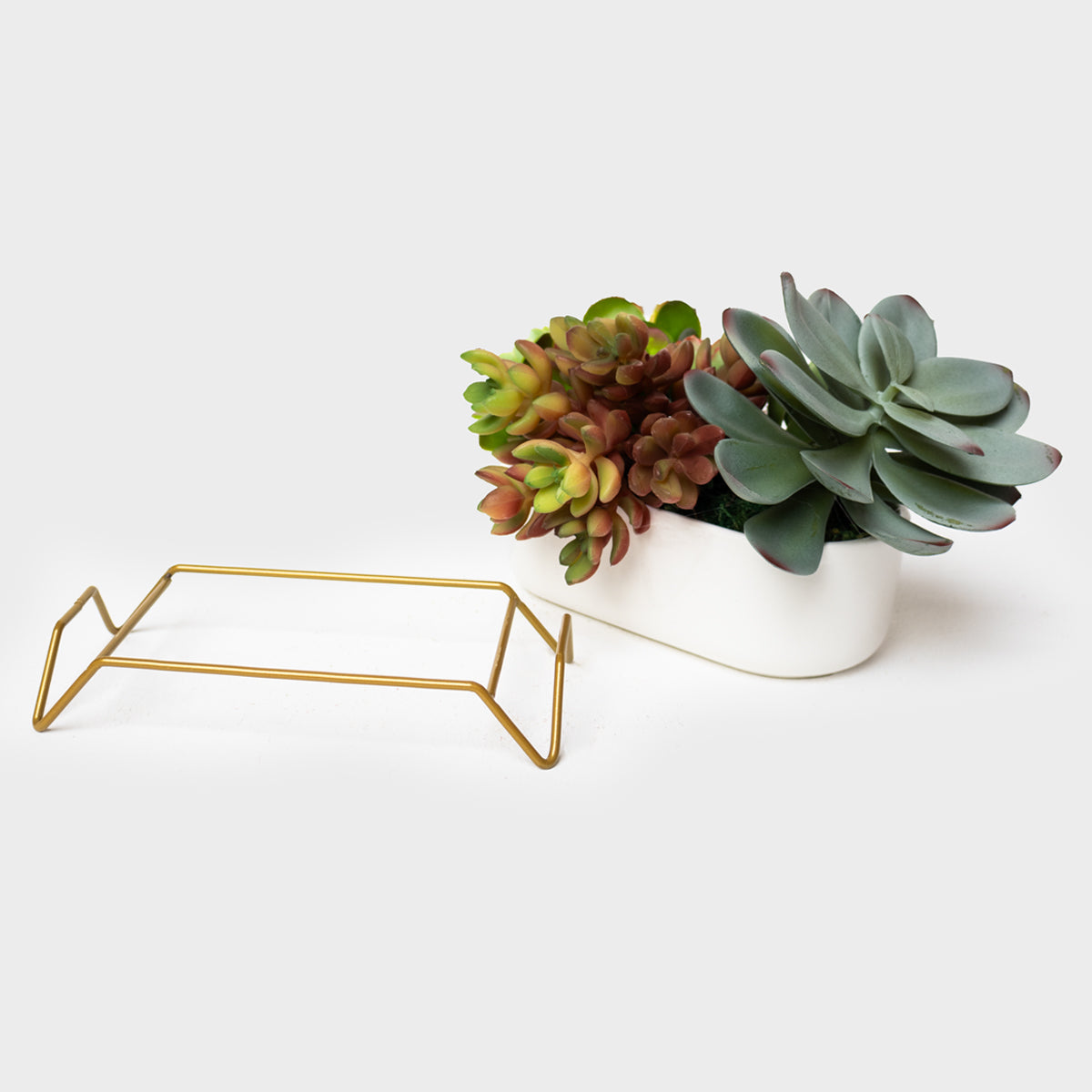 Succulent Planter