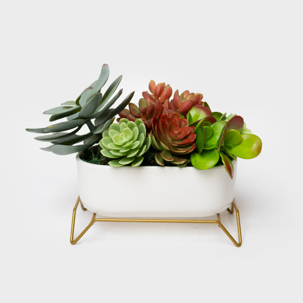 Succulent Planter