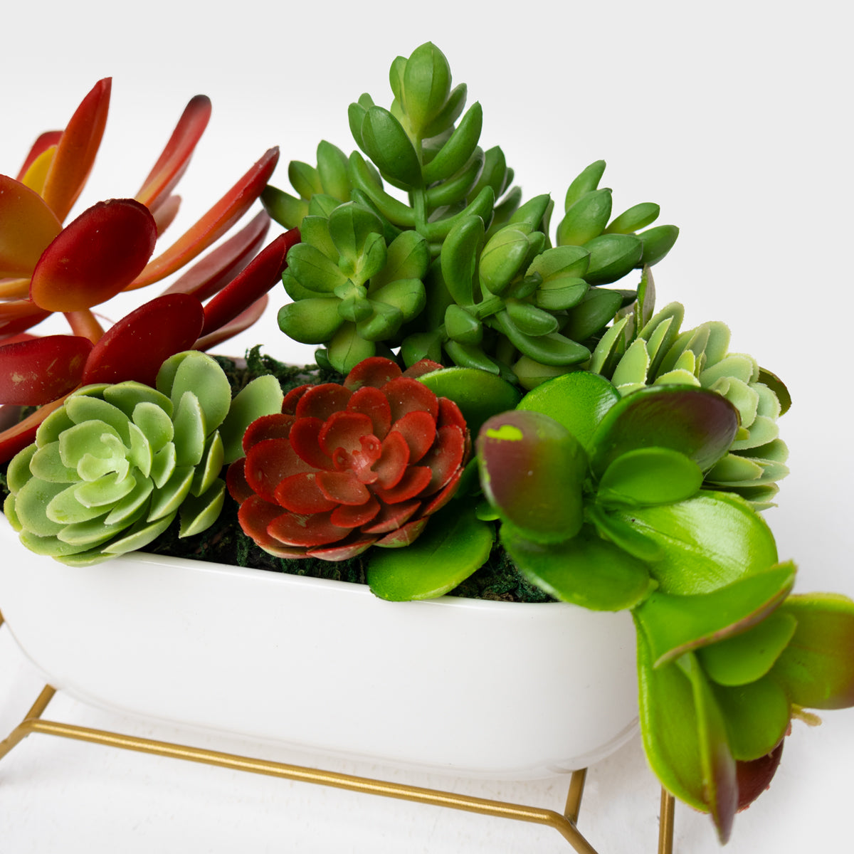 Succulent Planter