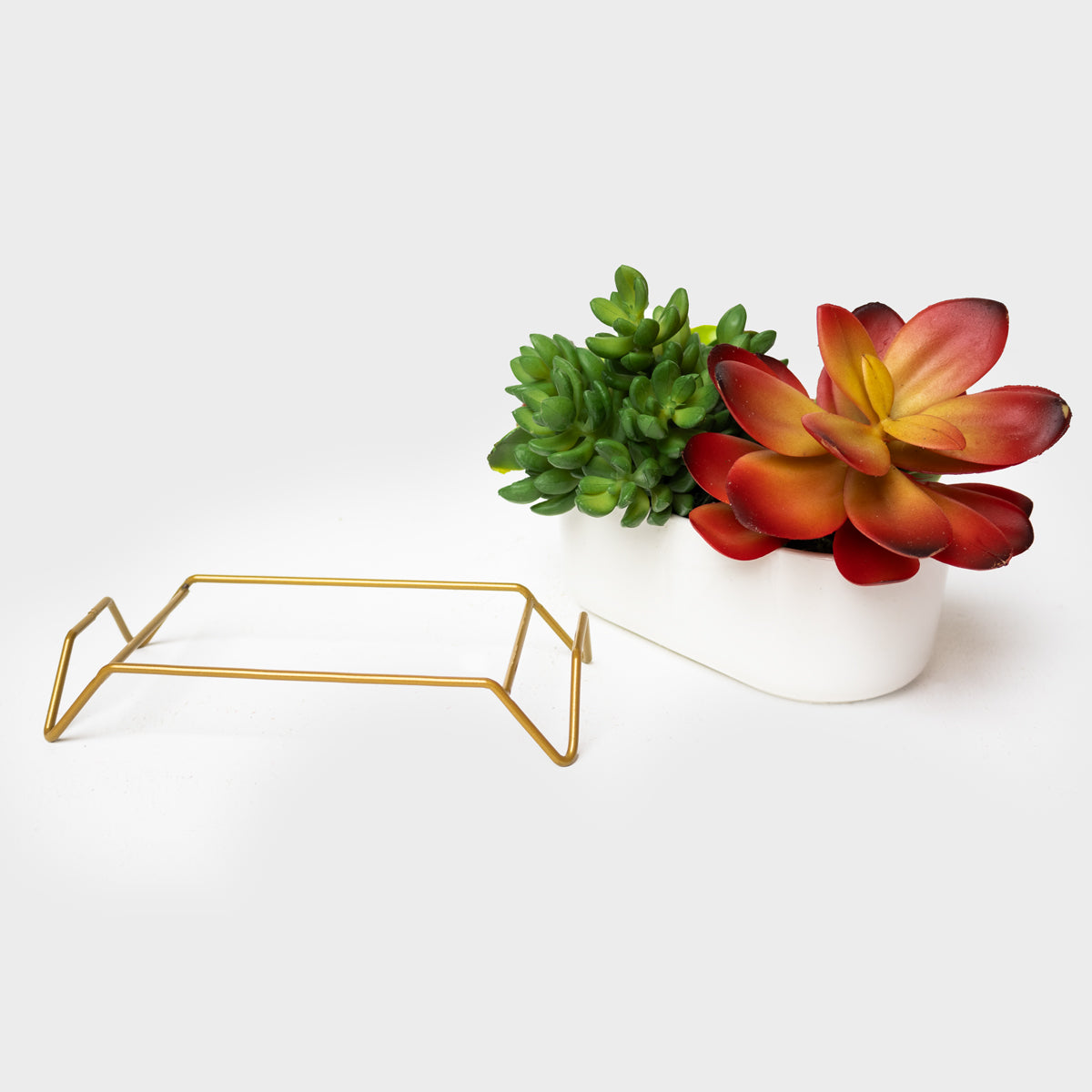 Succulent Planter