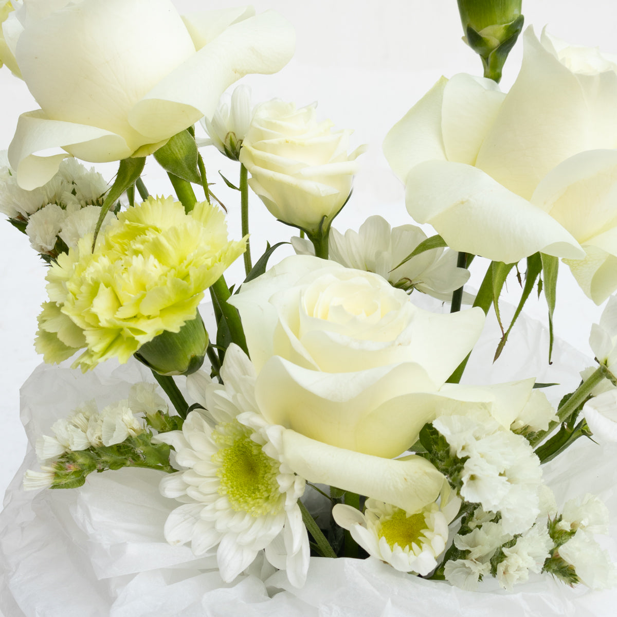White Posies